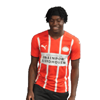 Football Celebrate Sticker by PSV