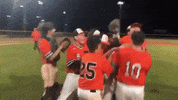 Happy Lets Go GIF by Rawlings Tigers