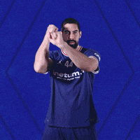 Nikola Karabatic Fight GIF by Paris Saint-Germain Handball