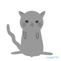 Animation Domination Cat GIF by gifnews