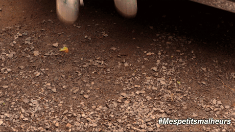 GIF by Mes petits malheurs