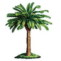 Palm Tree Beach Sticker by Tchibo