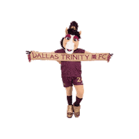 Dallas Dtfc Sticker by Dallas-Trinity-FC