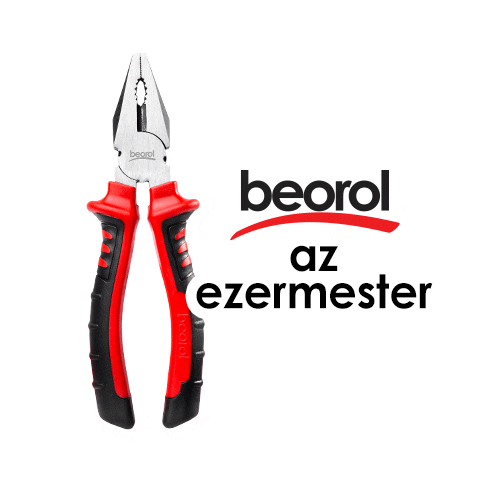 Mester Sticker by Beorol