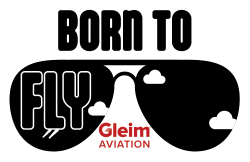 Sunglasses Fly Sticker by GleimAviation