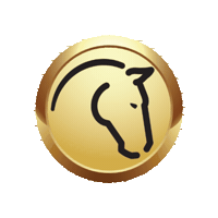 PerfectProductsEQ horse equestrian horse back riding perfect prep Sticker