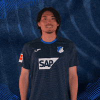 Sport Bundesliga GIF by TSG Hoffenheim
