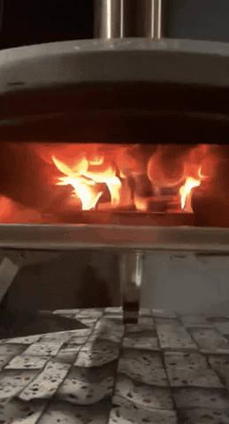 buzcro giphygifmaker giphygifmakermobile pizza ooni GIF