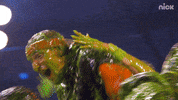 New England Patriots Dancing GIF by Kids' Choice Awards