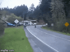 street race GIF