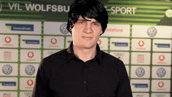fifa coach GIF by VfL Wolfsburg