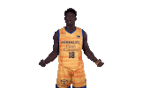 Liga Endesa Basketball Sticker by ACB