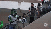 gobbato GIF by SE Palmeiras