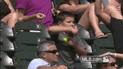 cws GIF by MLB
