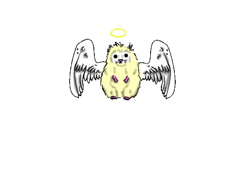 hedgehog STICKER