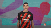 Eintracht Frankfurt Yes GIF by Bundesliga