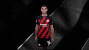 Time Sge GIF by Eintracht Frankfurt