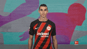 Eintracht Frankfurt No GIF by Bundesliga