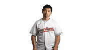 Major League Baseball Sport Sticker by MLB
