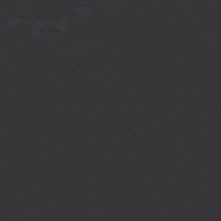 Feliz Cumpleaños GIF by Zhot Shotz