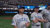 Chicago Cubs Sport GIF by MLB