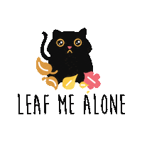 Black Cat Sticker by Rover.com