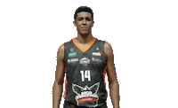 comemoraÃ§Ã£o sualisson Sticker by Basquete Cearense