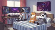 Solana Bonk GIF by Pandu Pandas