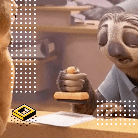 paolahincapie giphyupload GIF