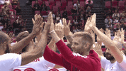 Happy Canadian GIF by Volleyball World