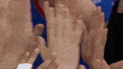 High Five Team Spirit GIF by Volleyball World