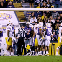 Death Valley Football GIF by LSU Tigers