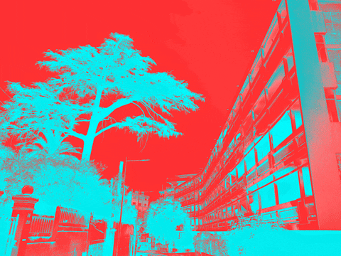 GIF by Trosdene