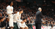 miamihurricanes happy sports basketball celebration GIF