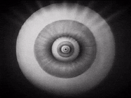 See Black And White GIF