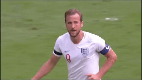 Harry Kane Football GIF by England