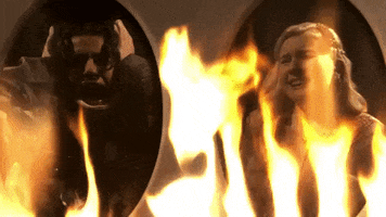 tv show fox GIF by ScreamQueens