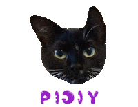 Cat Tuxedo Sticker