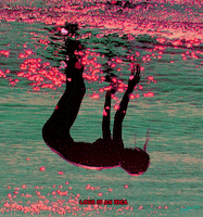 cats internet GIF by PEEKASSO