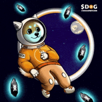 Dogofbitcoin dog runestone dog go to the moon dog bitcoin GIF