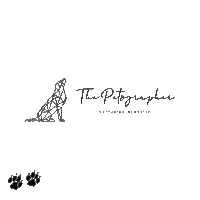 thepetographer tp dog photographer dog photography petography Sticker