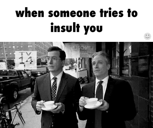 insult GIF