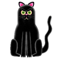 Black Cat Sticker by Channel 4