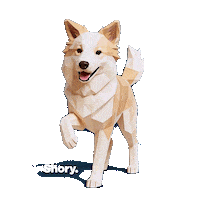 Petinsurance Sticker by getShory