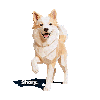 Petinsurance Sticker by getShory