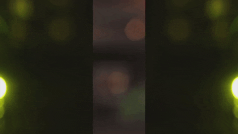 Art Video GIF by jorgemariozuleta
