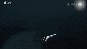 Invasion Manny GIF by Apple TV+