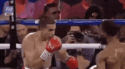 toprank fight boxing fighting espn GIF