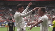 rslmarketing soccer futbol mls major league soccer GIF