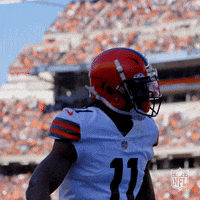 Cleveland Browns GIF by NFL